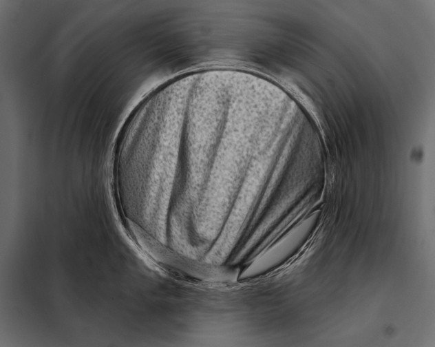 X0000098071005200804251434