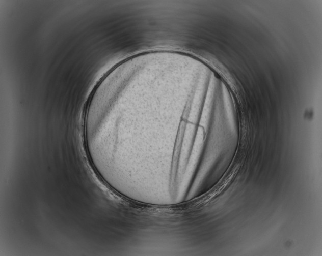 X0000098071006200804251434