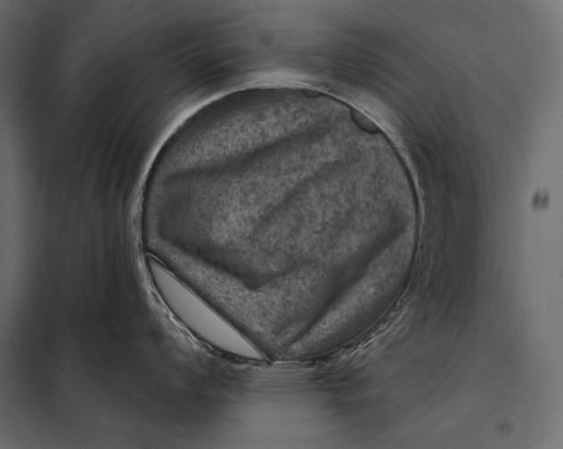 X0000098071008200804251434