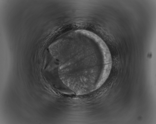 X0000098071009200804251433