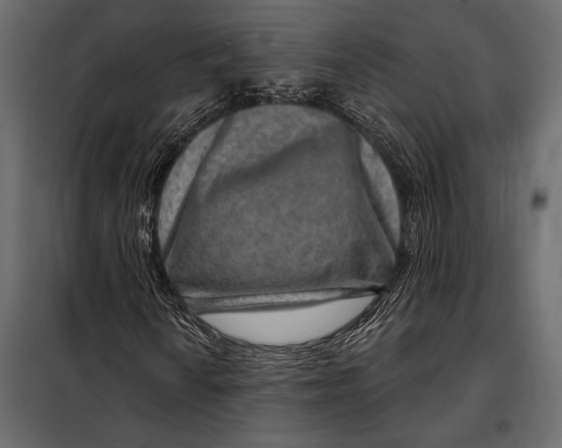 X0000098071010200804251433