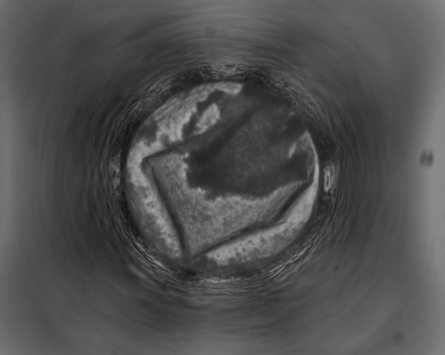 X0000098071011200804251433