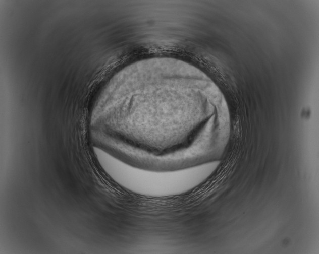 X0000098071012200804251433