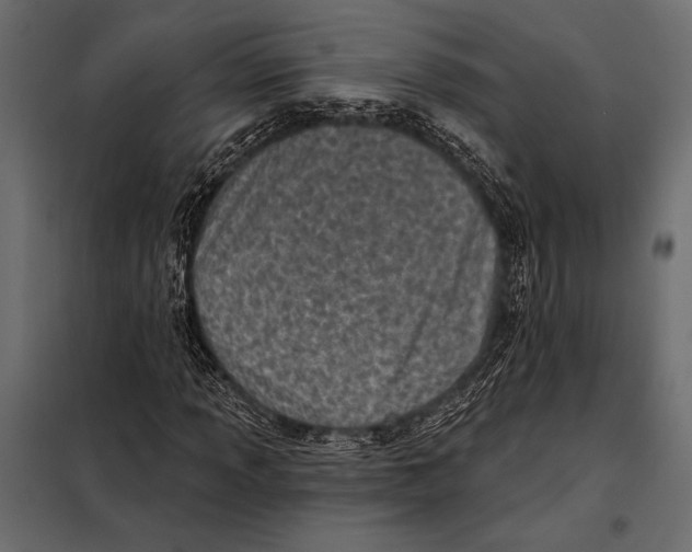 X0000098071013200804251433