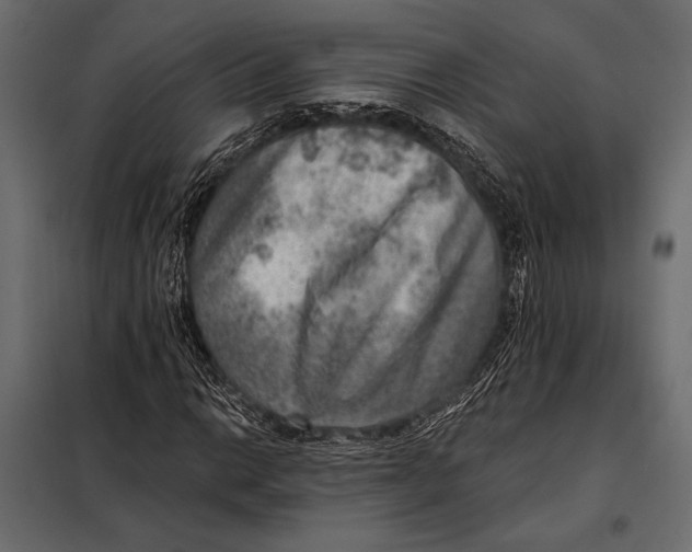 X0000098071014200804251433