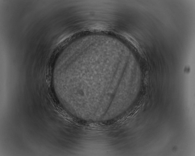 X0000098071015200804251433