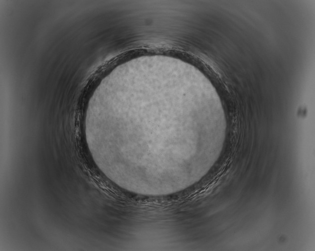 X0000098071016200804251433