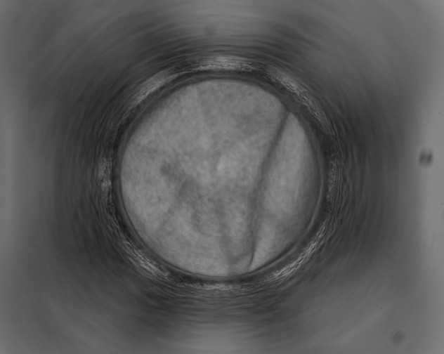 X0000098071017200804251433