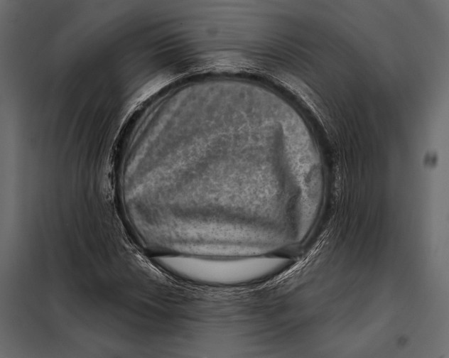 X0000098071018200804251433