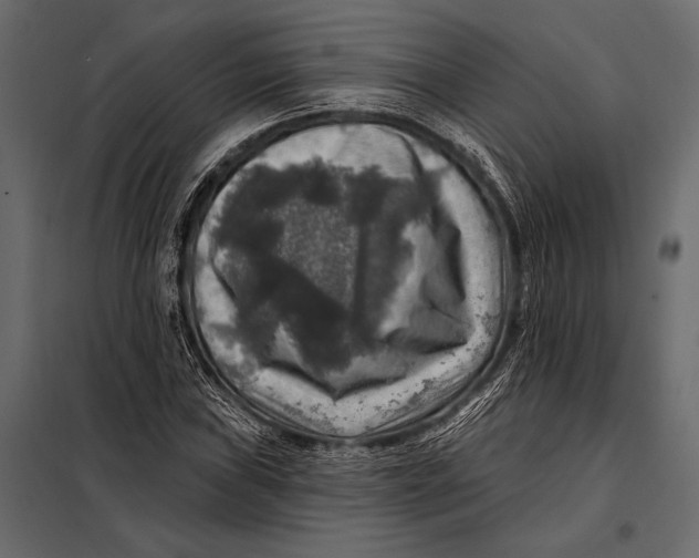 X0000098071019200804251433