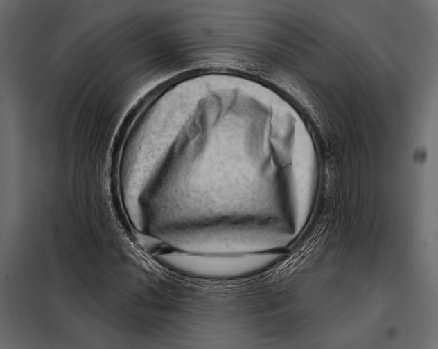 X0000098071020200804251433