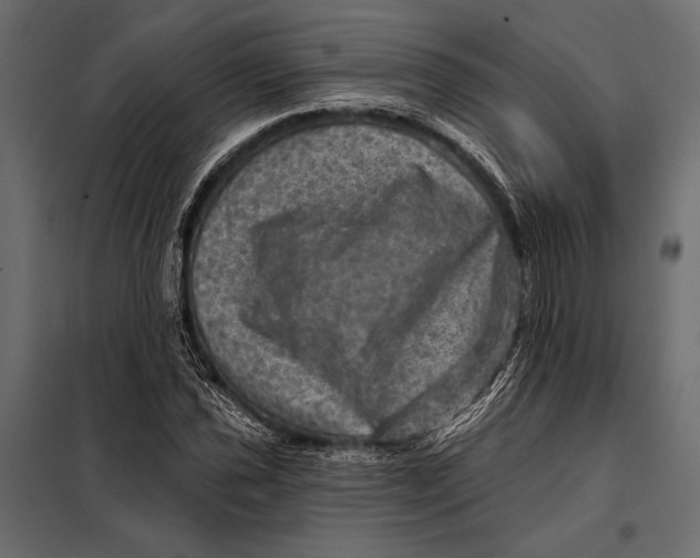 X0000098071021200804251433