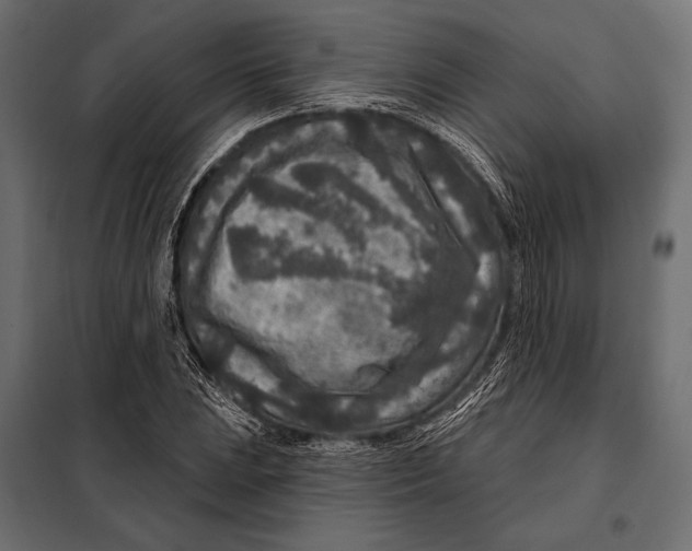 X0000098071023200804251433