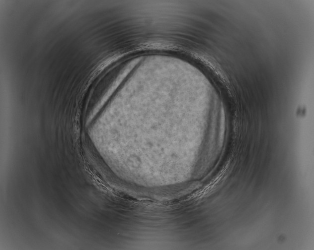 X0000098071025200804251433