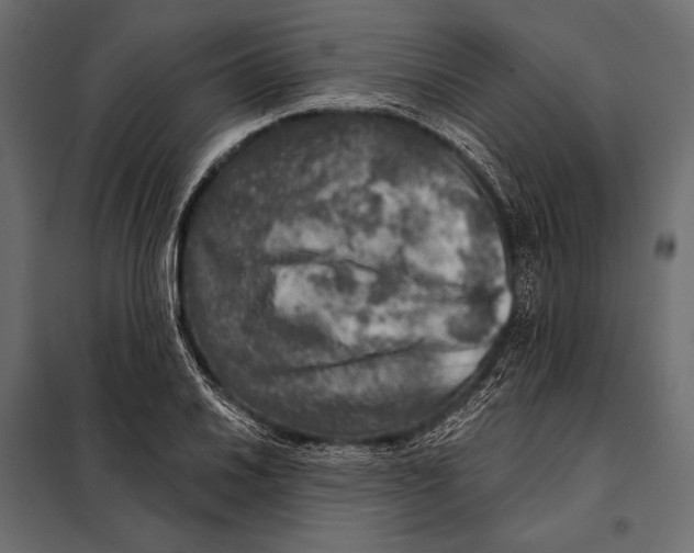 X0000098071030200804251433