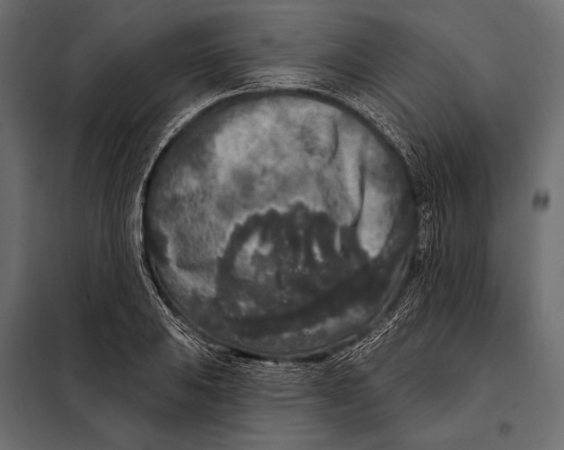 X0000098071031200804251433