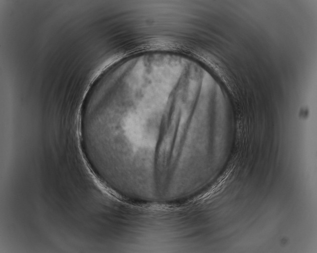 X0000098071034200804251433