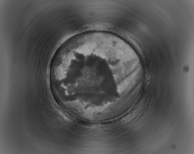 X0000098071035200804251433