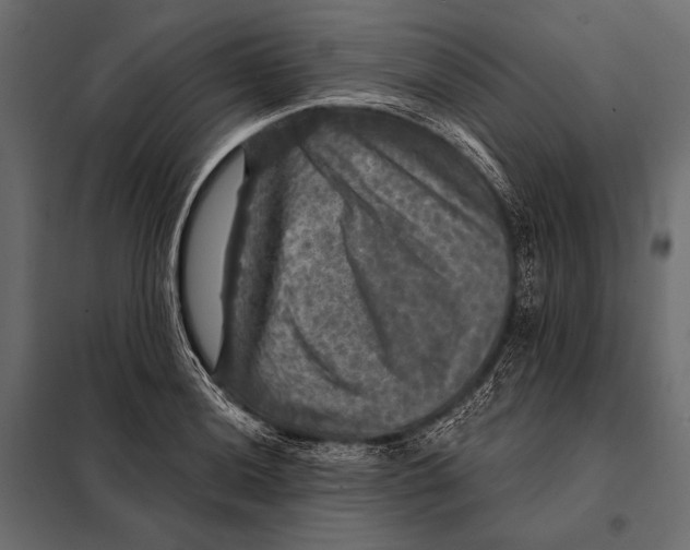 X0000098071036200804251433