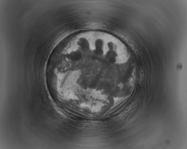 X0000098071039200804251433