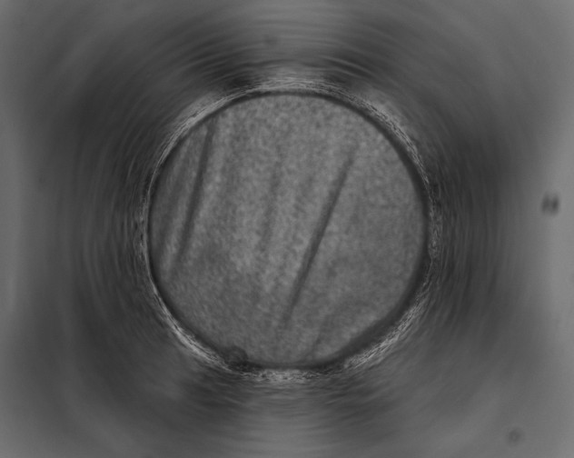 X0000098071041200804251433