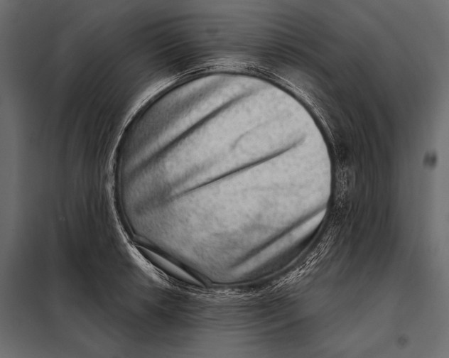 X0000098071042200804251433