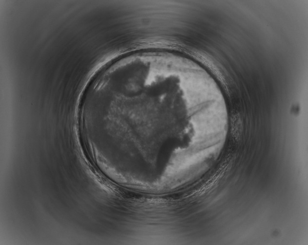 X0000098071043200804251433