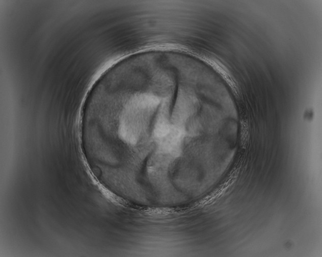 X0000098071046200804251434