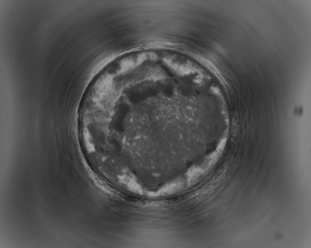 X0000098071047200804251434