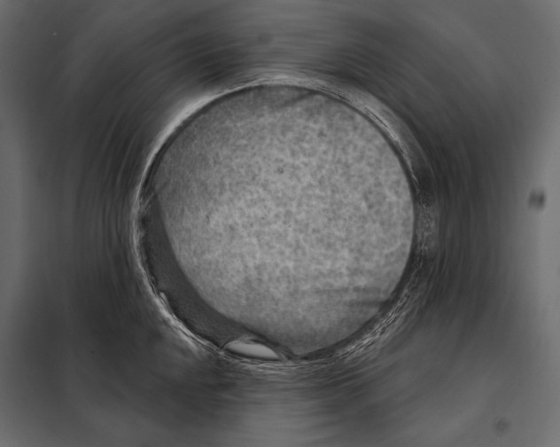 X0000098071048200804251434