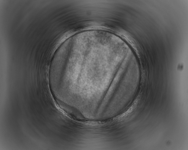 X0000098071049200804251434