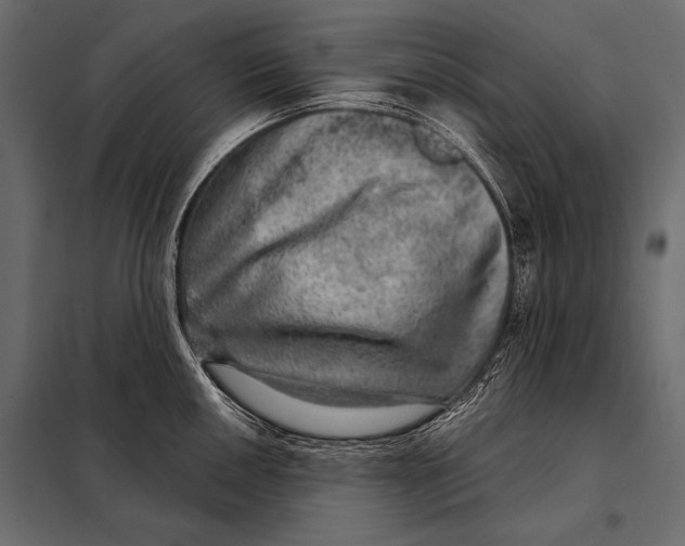 X0000098071050200804251434