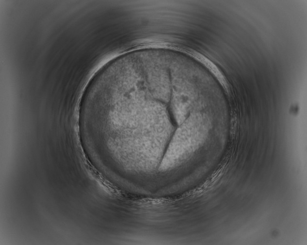 X0000098071051200804251434