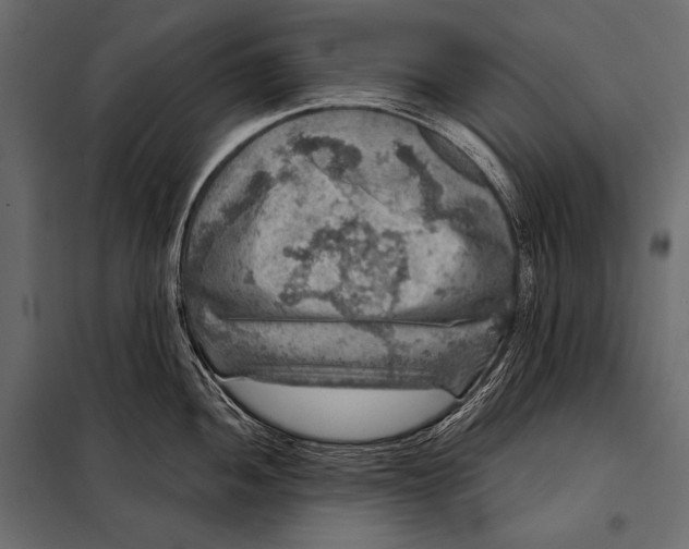 X0000098071052200804251434