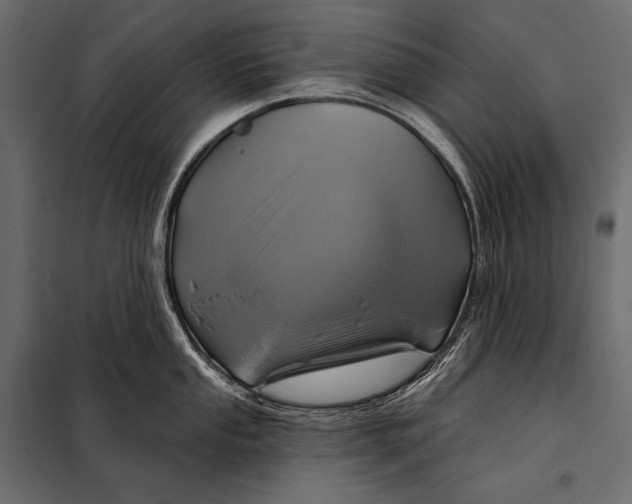 X0000098071053200804251434