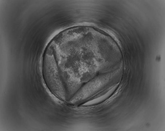 X0000098071054200804251434