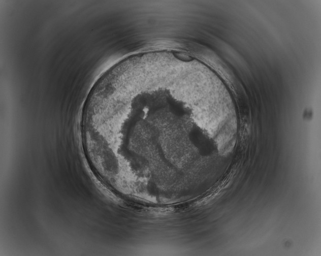 X0000098071055200804251434