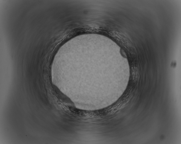 X0000098071057200804251433