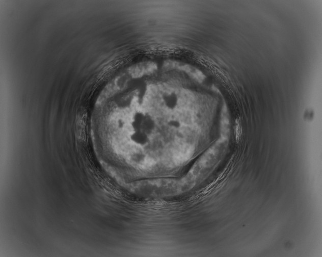 X0000098071059200804251433