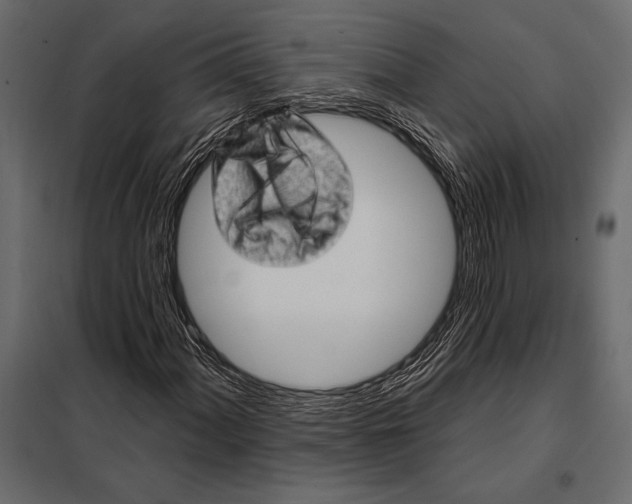 X0000098071060200804251433