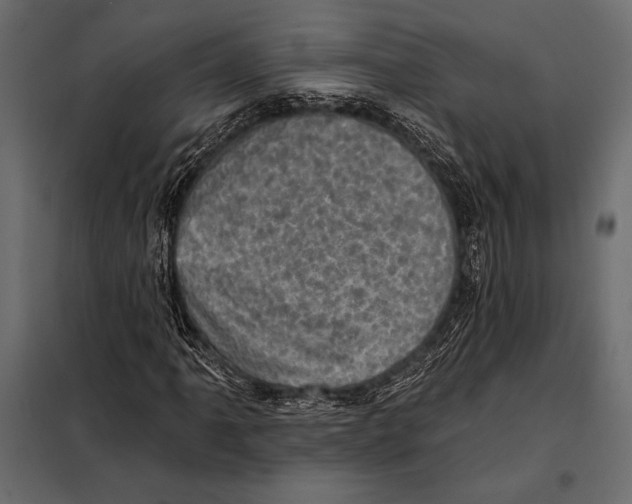 X0000098071061200804251433