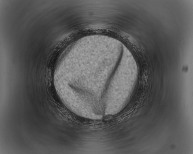 X0000098071062200804251433