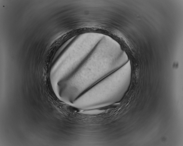 X0000098071064200804251433