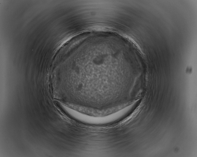 X0000098071065200804251433