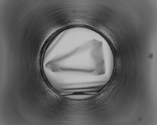 X0000098071068200804251433