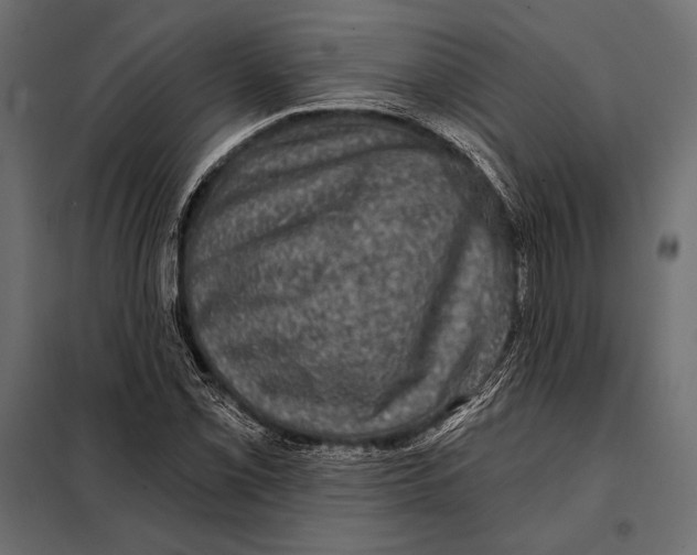 X0000098071069200804251433