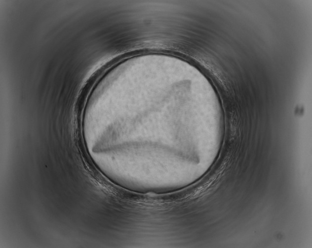 X0000098071070200804251433