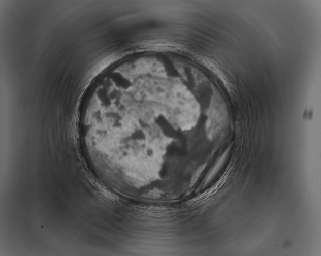 X0000098071071200804251433