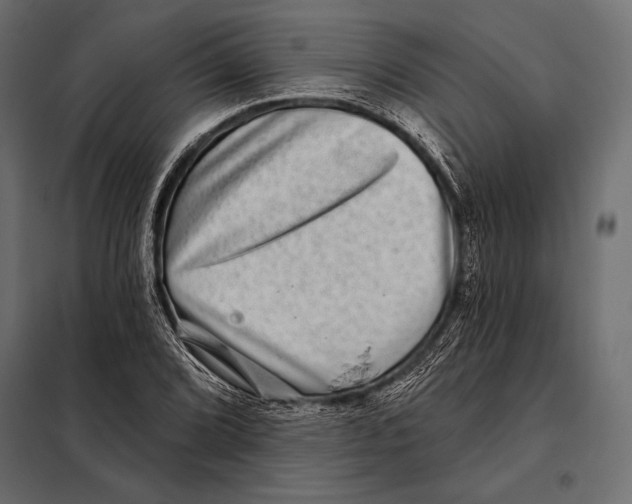 X0000098071072200804251433