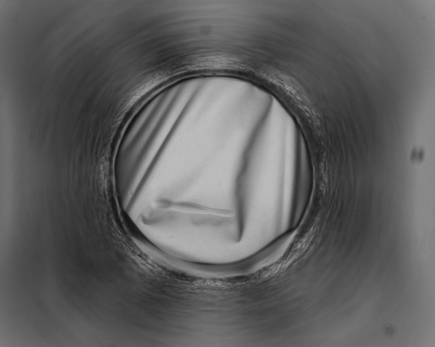 X0000098071073200804251433